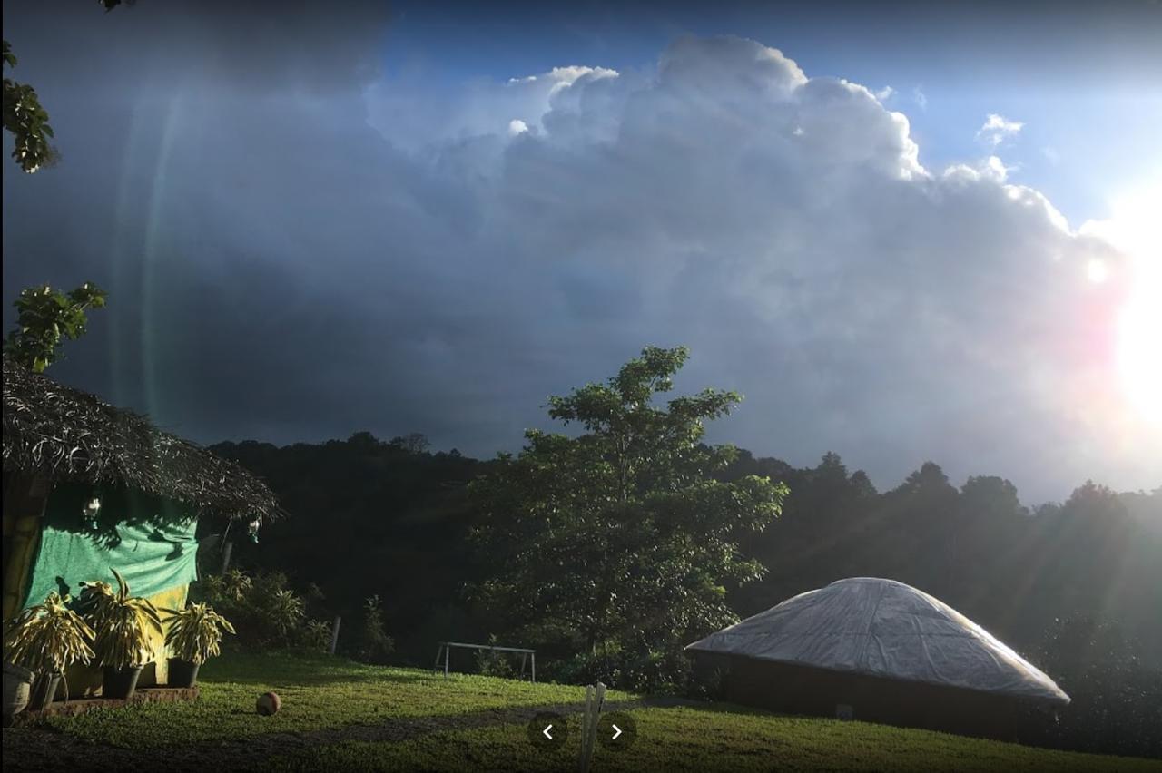 Oxyfarm Resorts Wayanad Exterior foto